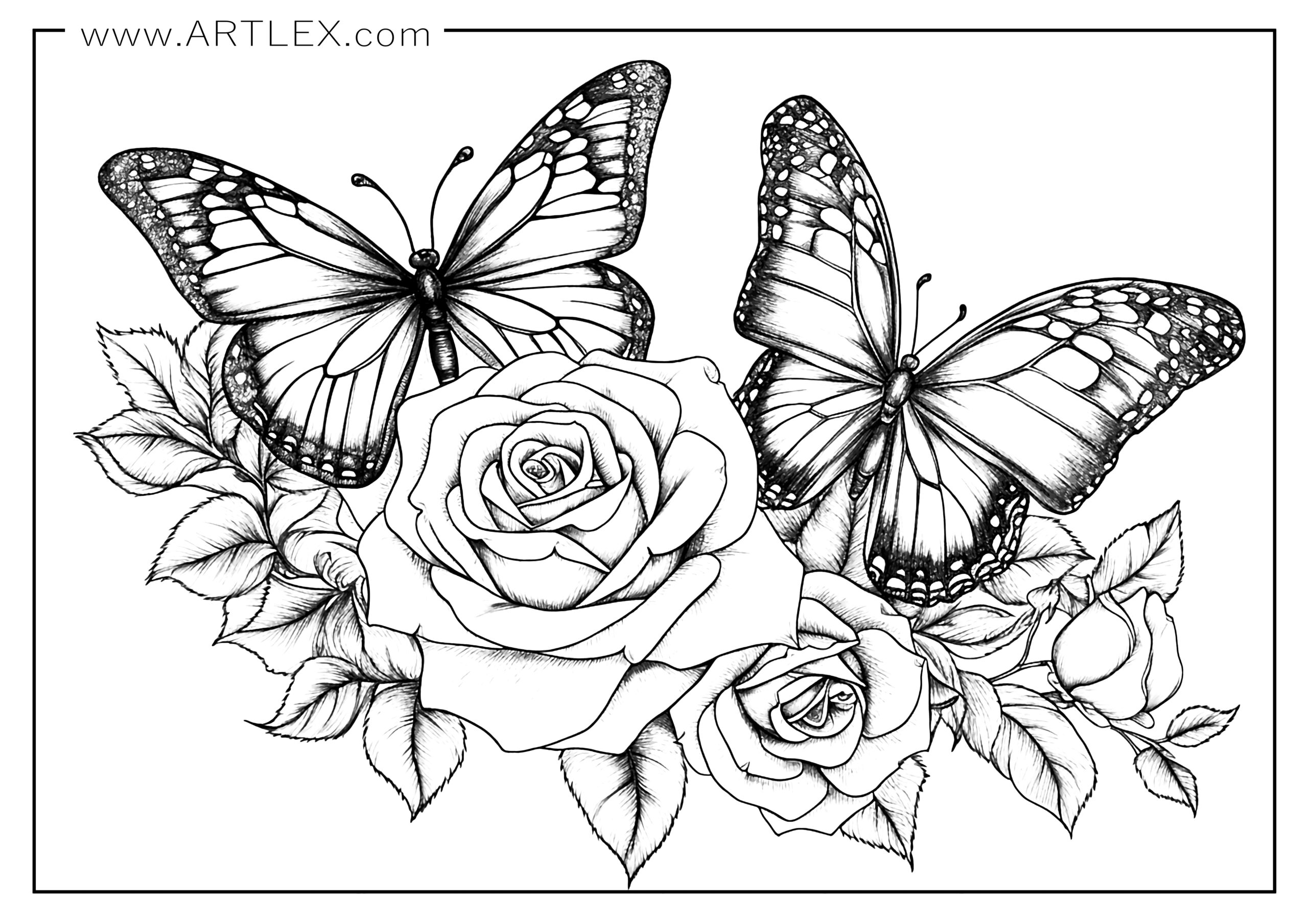 Best butterfly coloring pages free printable â