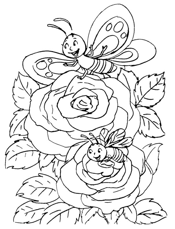 Butterflies plyaing on rose download free butterflies plyaing on rose for kids best coloring pages