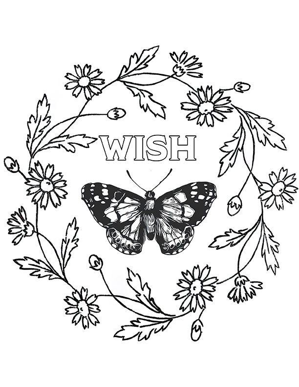 Butterfly coloring pages for adults