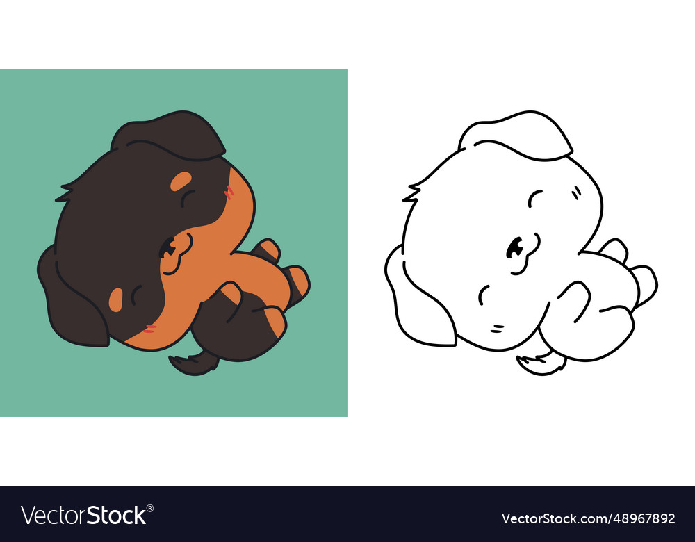 Cute rottweiler dog clipart for coloring page vector image