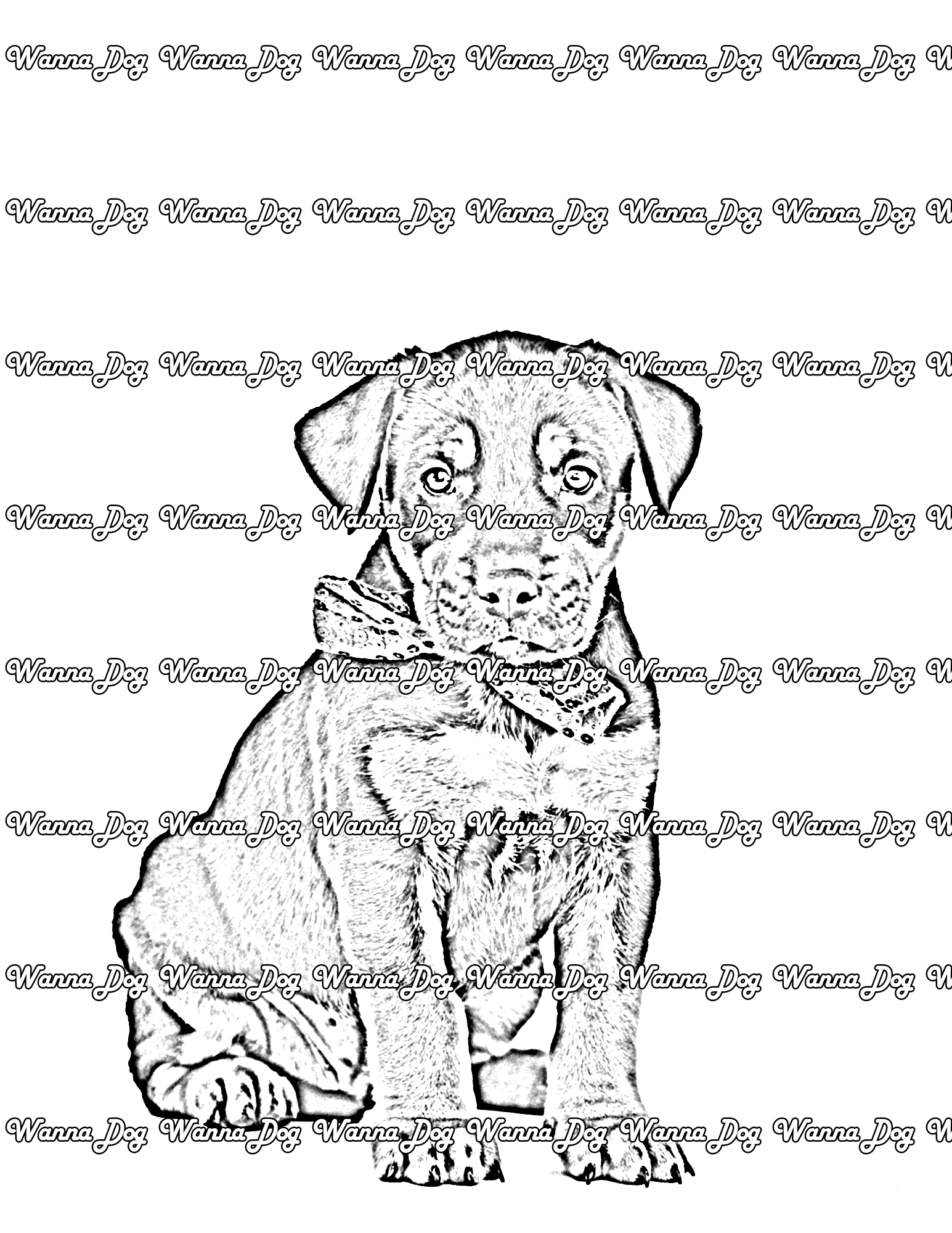 Rottweiler puppy coloring pages â wanna dog