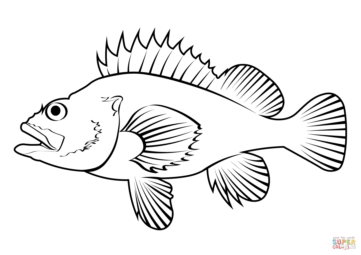 Rougheye rockfish sebastes aleutianus coloring page free printable coloring pages