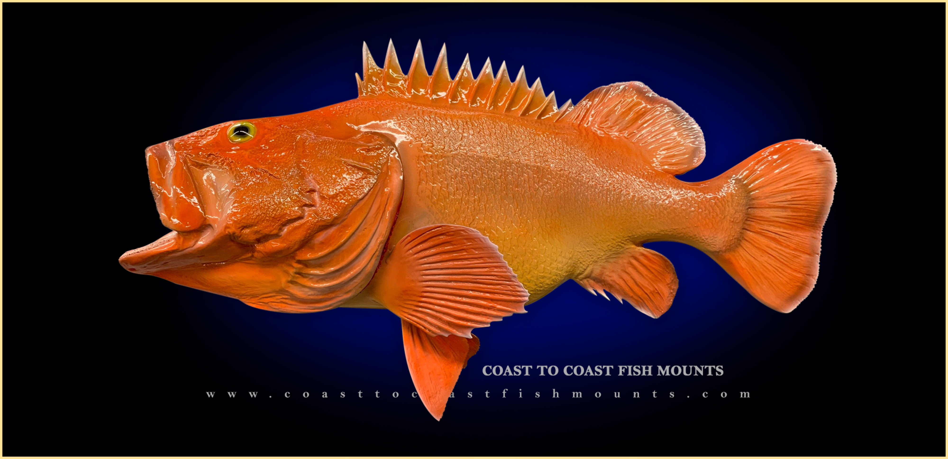 Yellow eye rock fish fish mounts replicas by coast