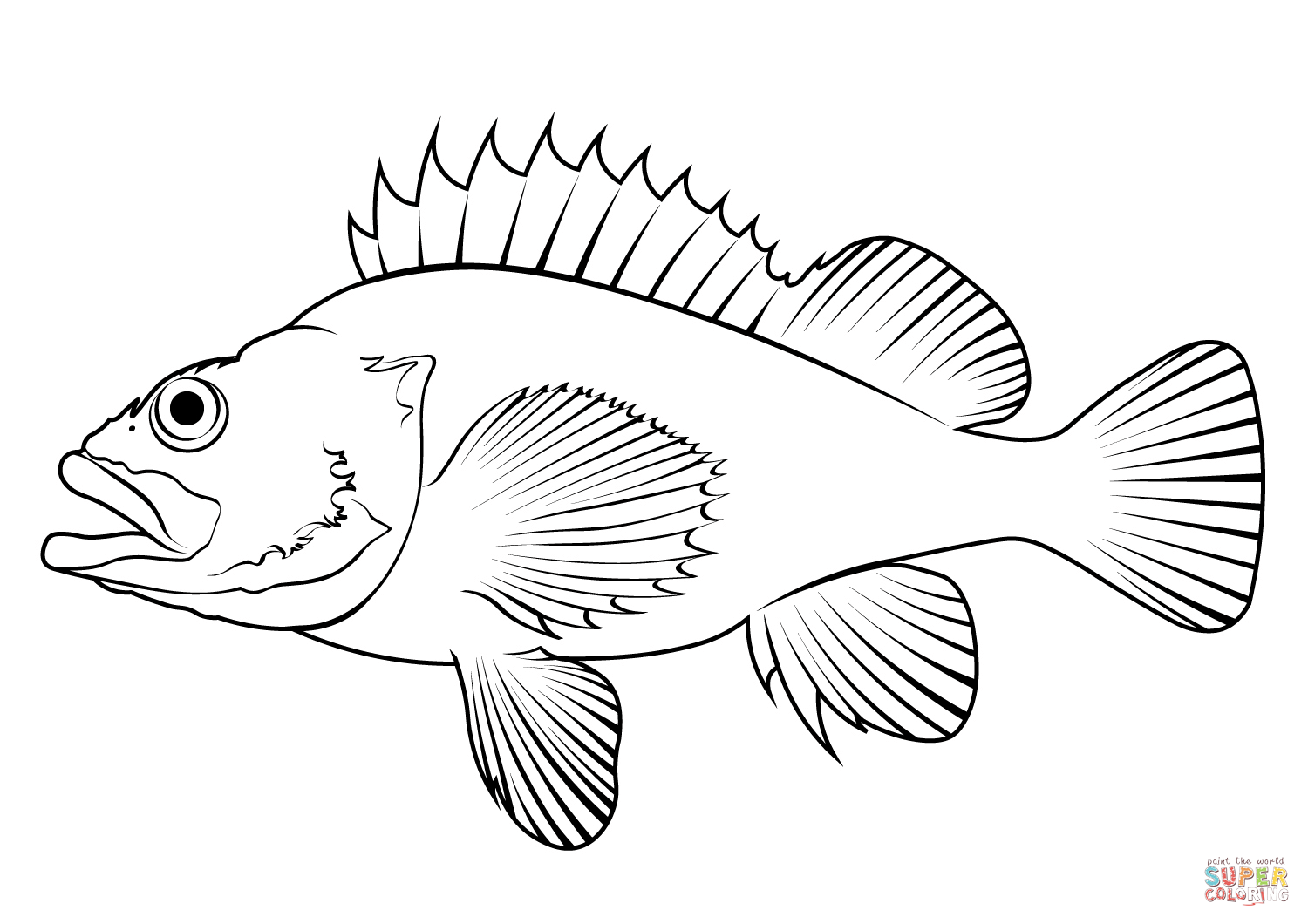 Rose fish sebastes norvegicus coloring page free printable coloring pages