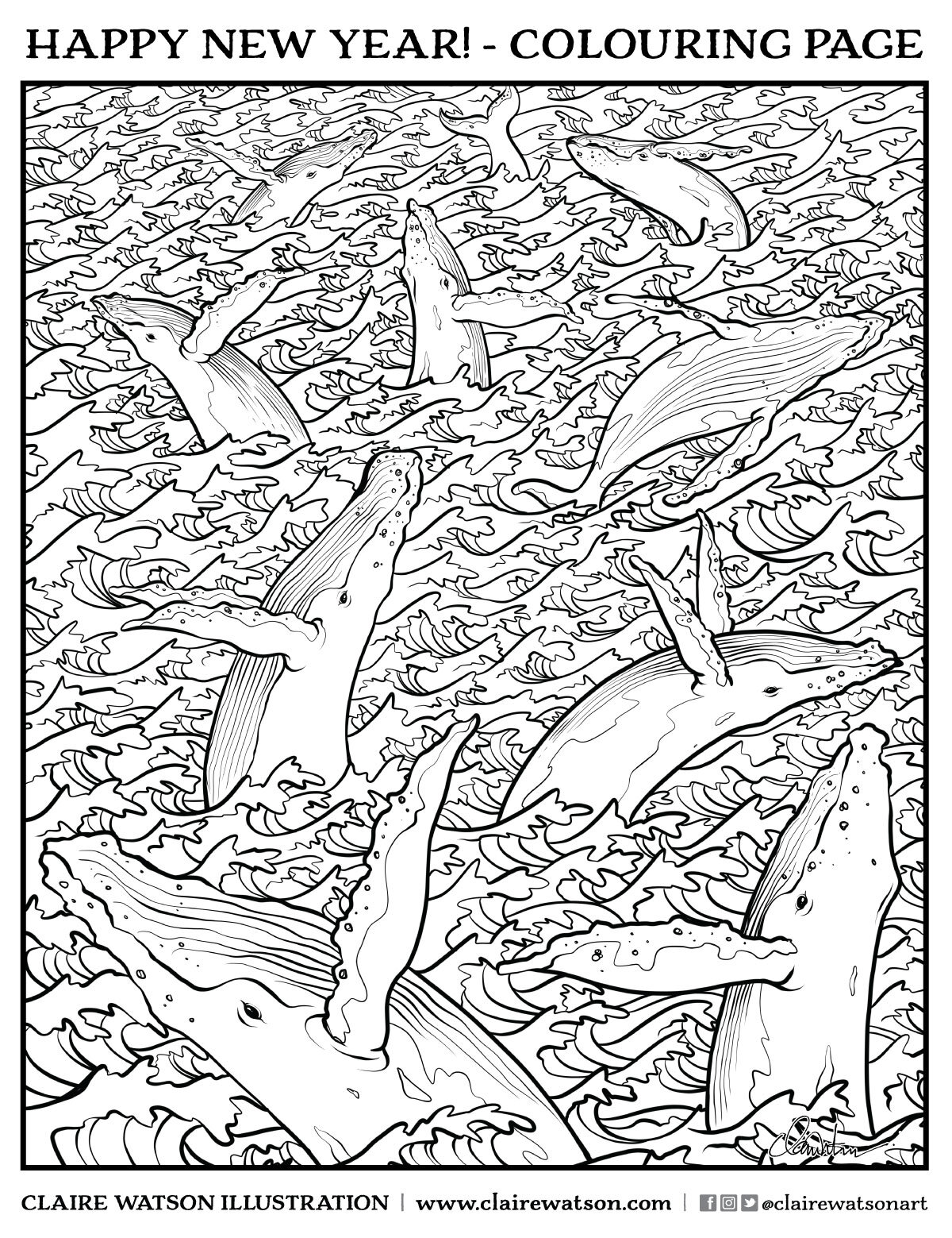 Colouring pages â blog â claire victoria illustration and design