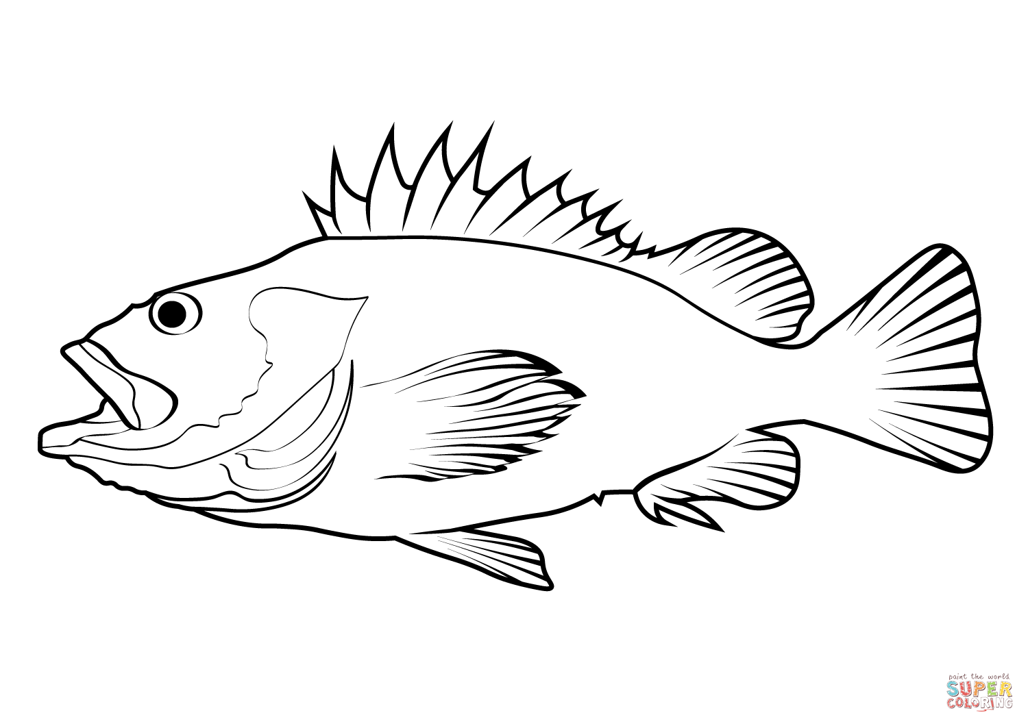 Yelloweye rockfish sebastes ruberrimus coloring page free printable coloring pages