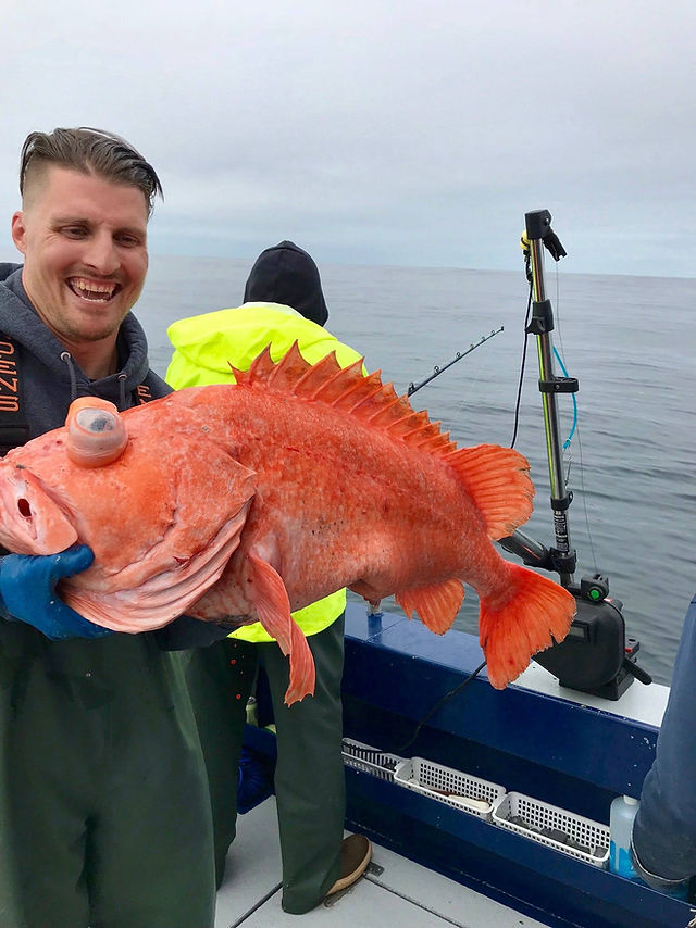 Shortraker rockfish alaska deep sea fishing