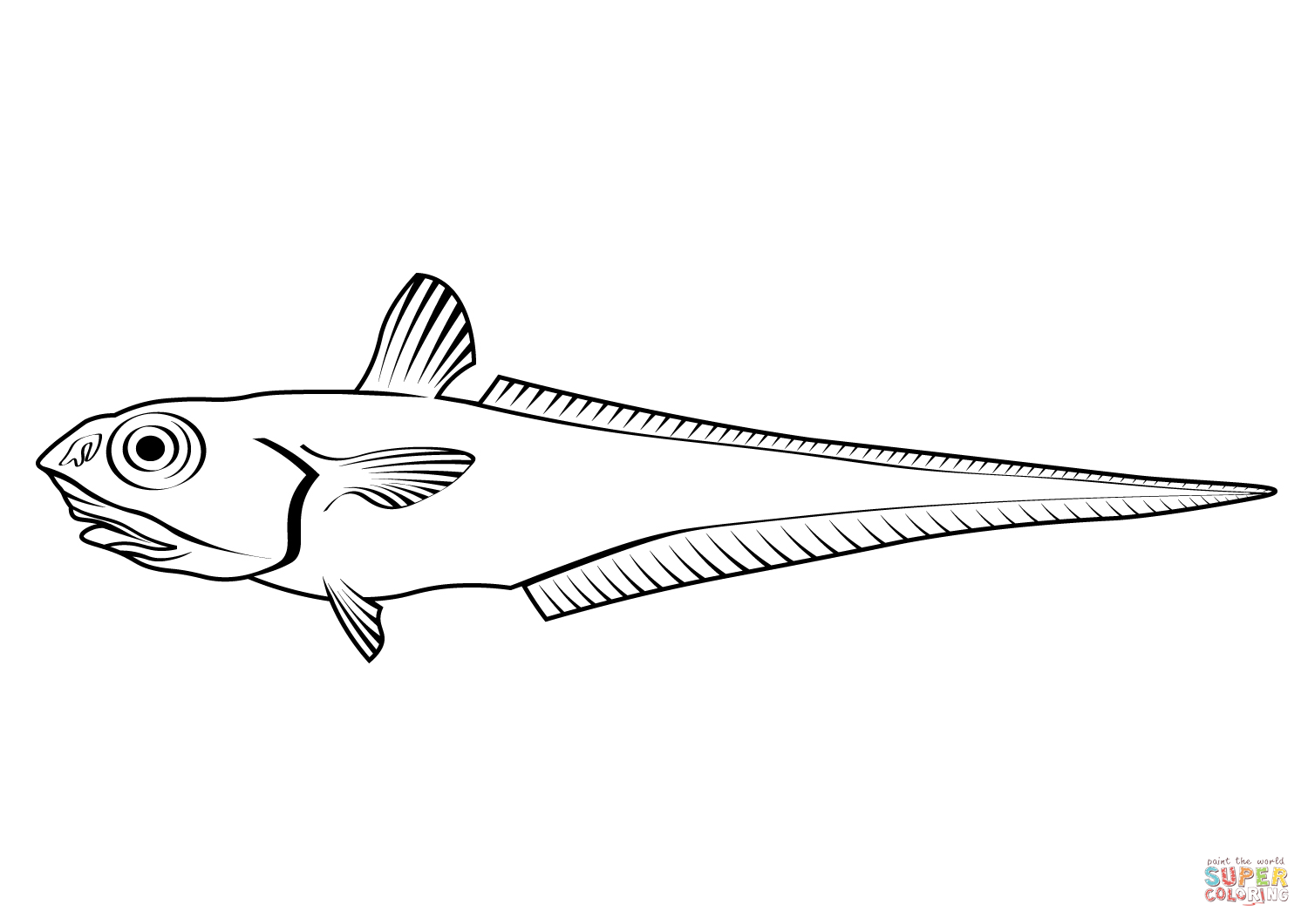 Roughhead grenadier macrourus berglax coloring page free printable coloring pages