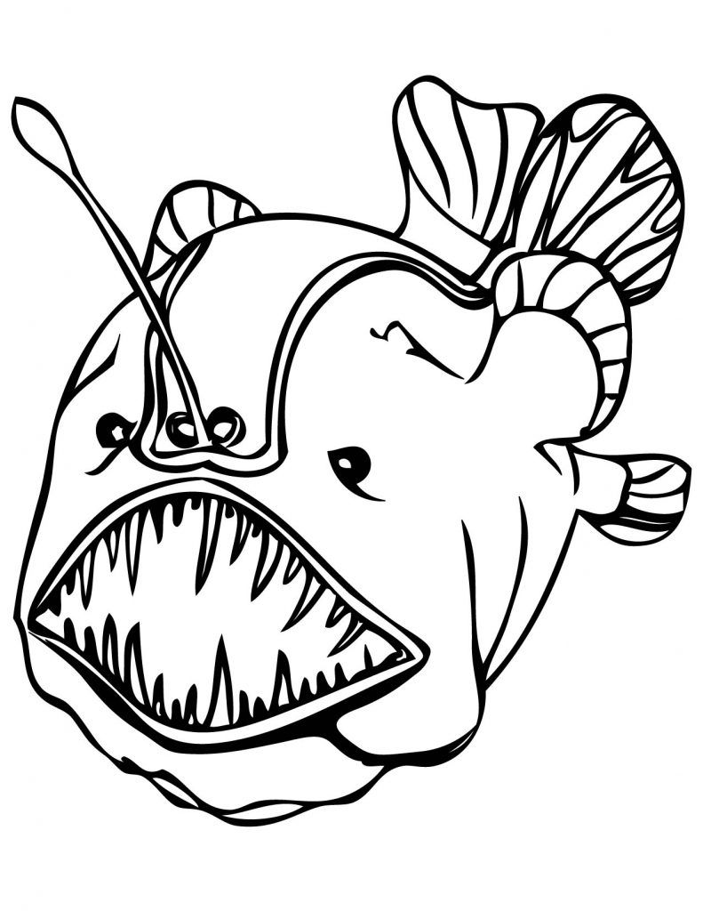 Printable coloring pages animal coloring pages fish coloring page dog coloring page
