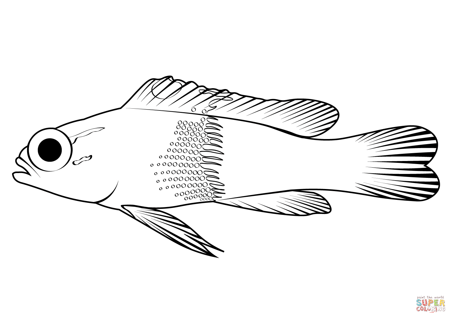 Royal gramma gramma loreto coloring page free printable coloring pages