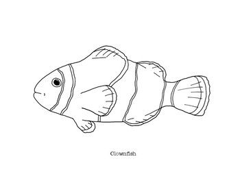 Clownfish coloring page coloring pages clown fish fish drawings