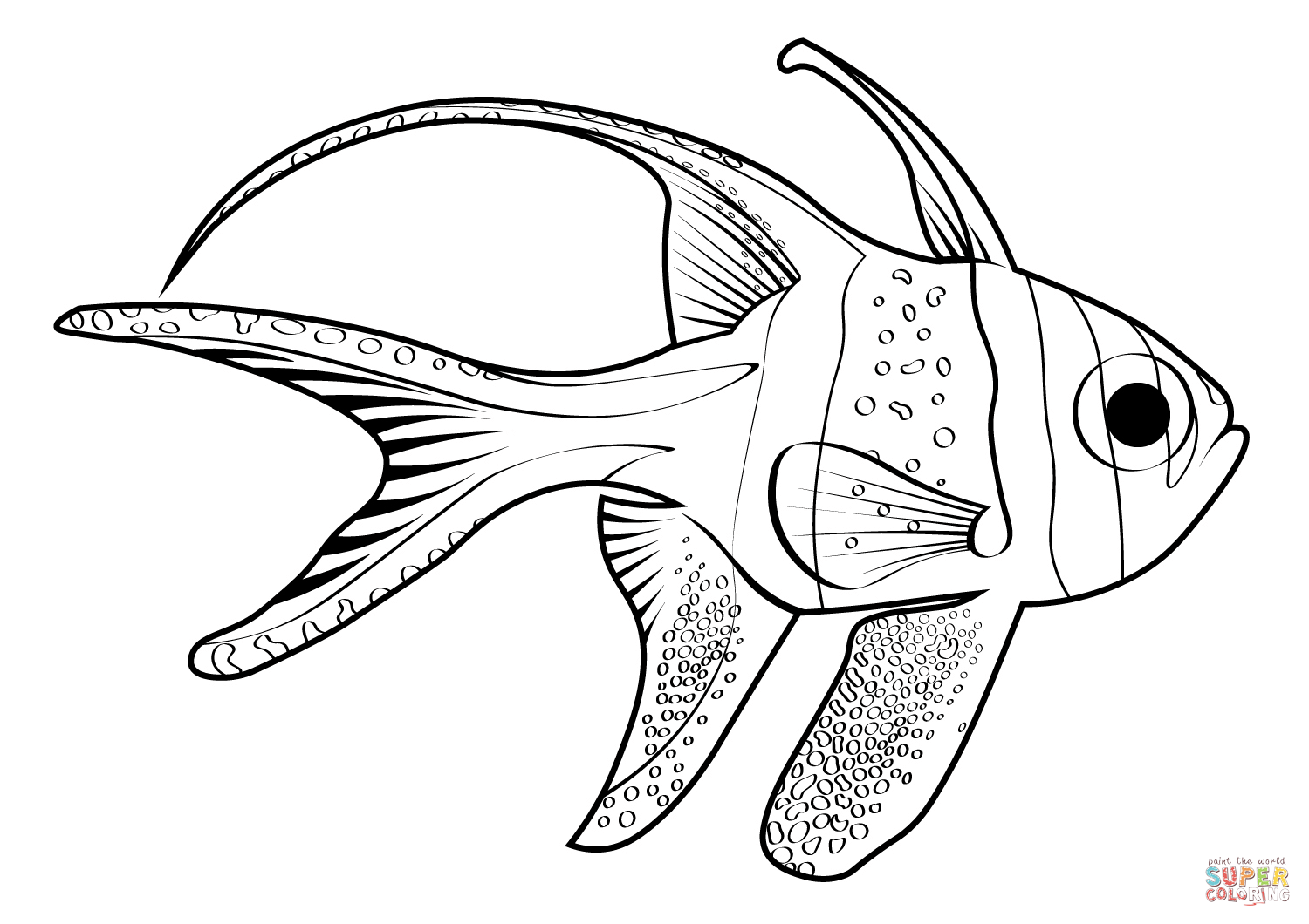 Banggai cardinalfish pterapogon kauderni coloring page free printable coloring pages