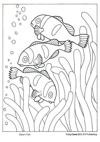 Clown fish loring ocean animal loring pages ocean loring pages fish loring page animal loring pages