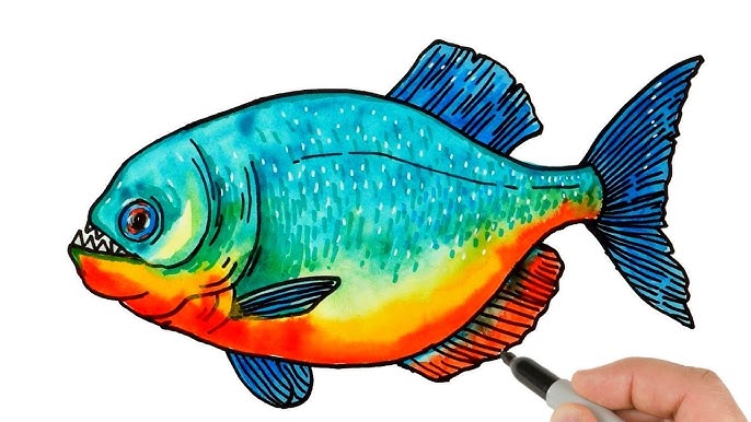 How to draw a â clown knife fish àààà àààâ step by step very easy