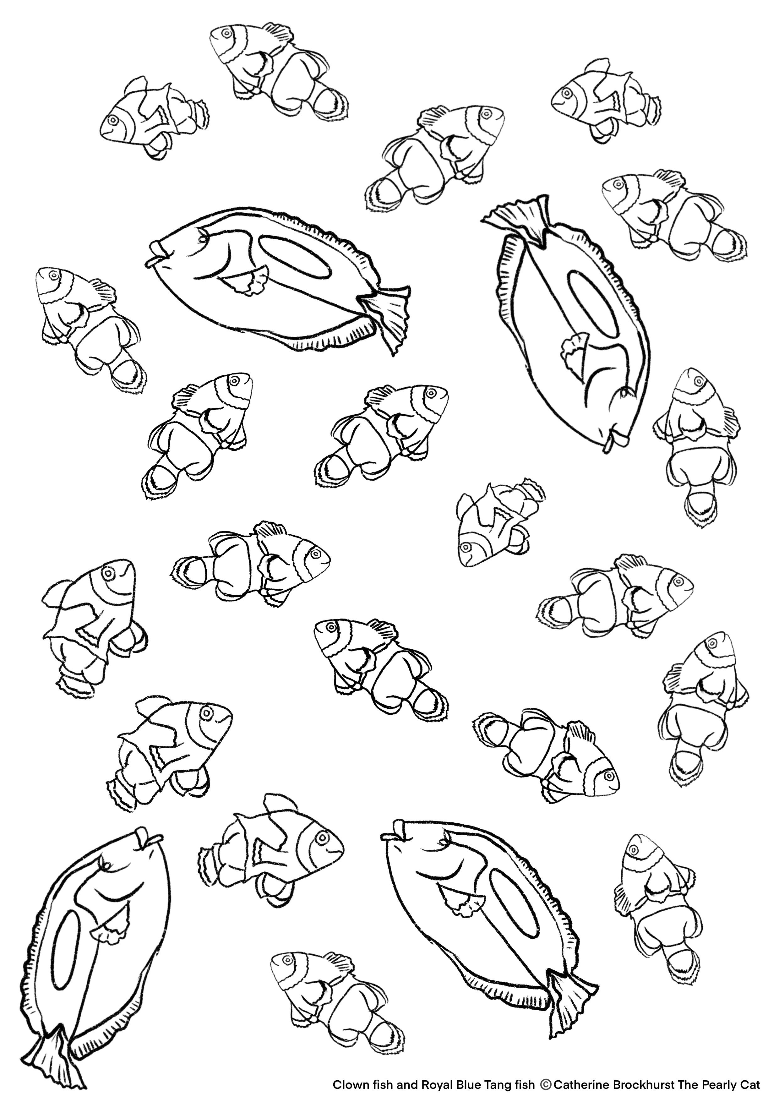 Clown fish royal blue tang colouring sheet animal coloring pages blue tang fish coloring sheets