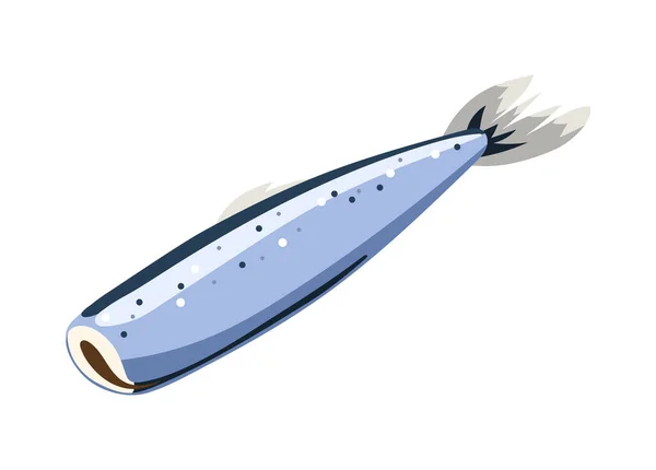 Knifefish stock photos royalty free knifefish images