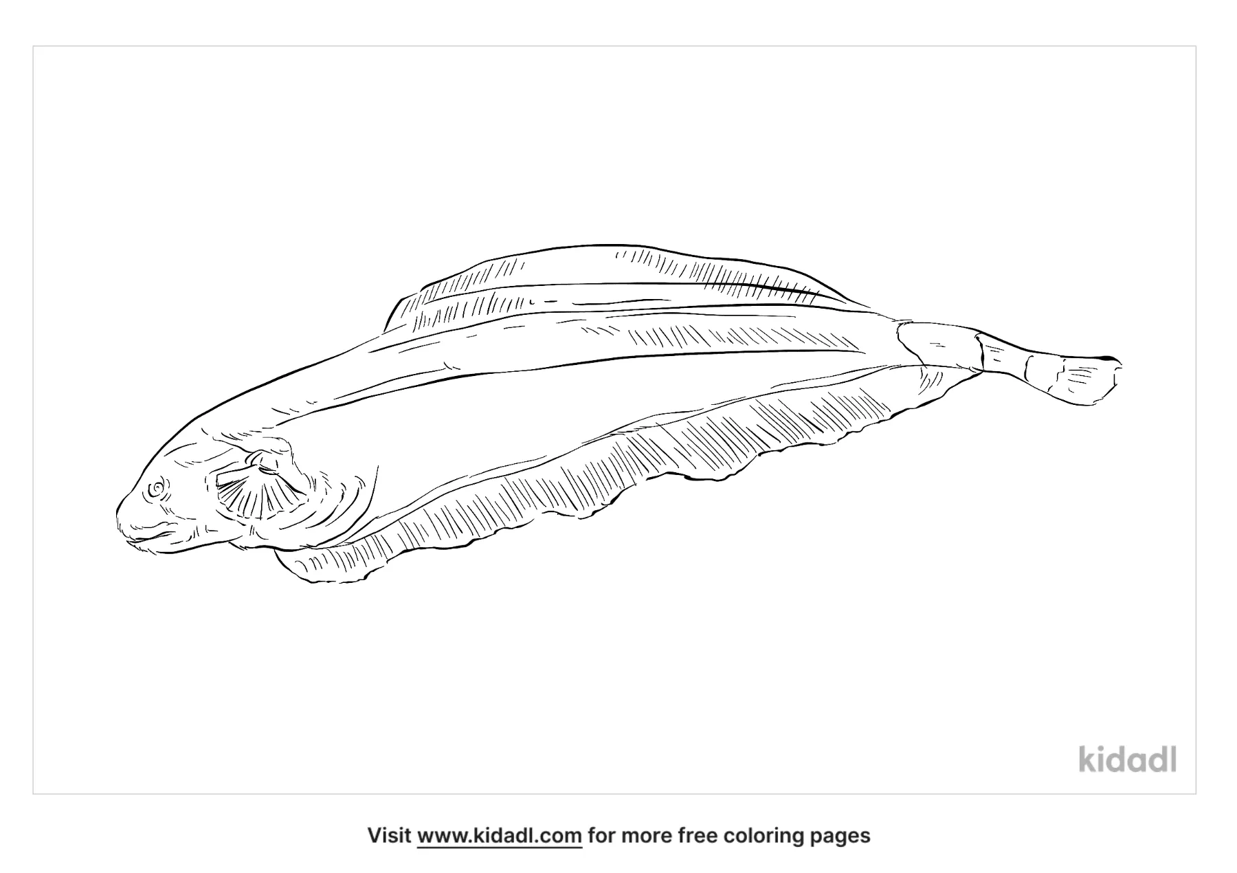 Free black ghost knifefish coloring page coloring page printables