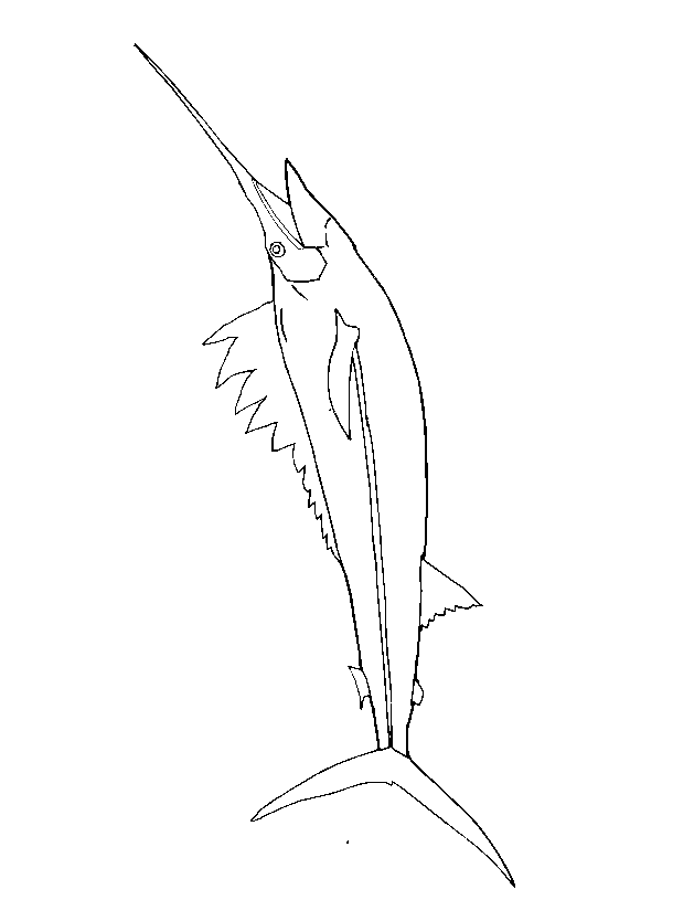 Spearfish coloring page a realistic drawing of a spearfish