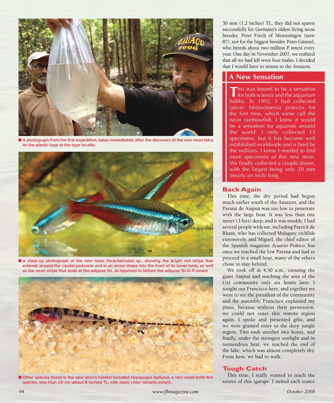 Tropical fish hobbyist