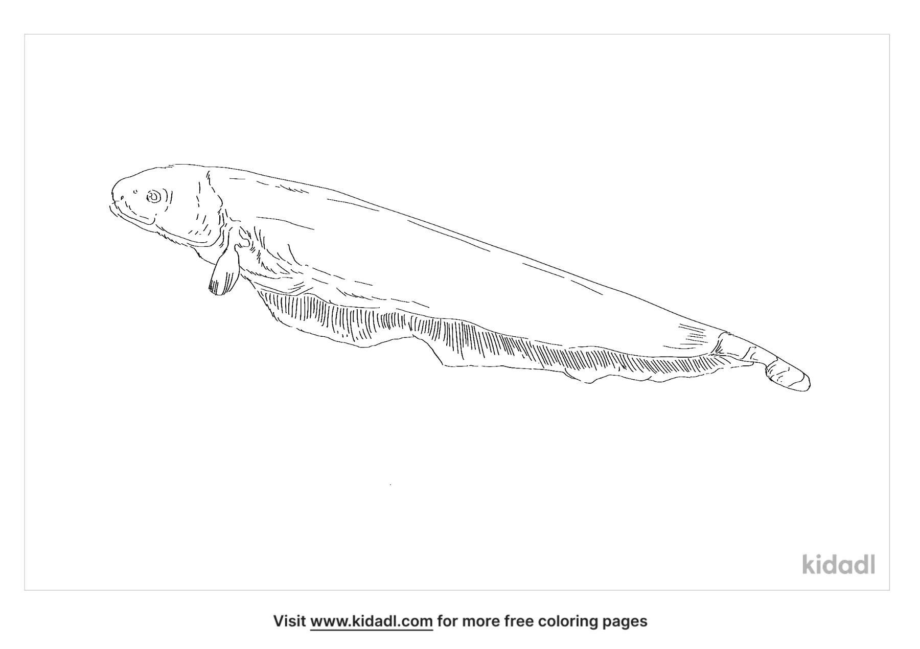 Free ghost knifefish coloring page coloring page printables