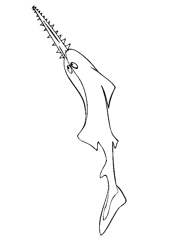 Sawfish coloring page a realistic sawfish drawing