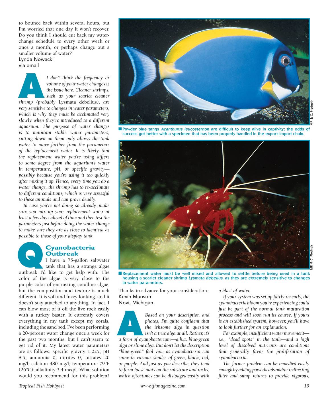Tropical fish hobbyist