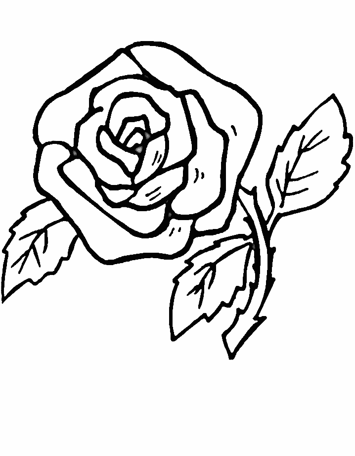 Rose coloring pages