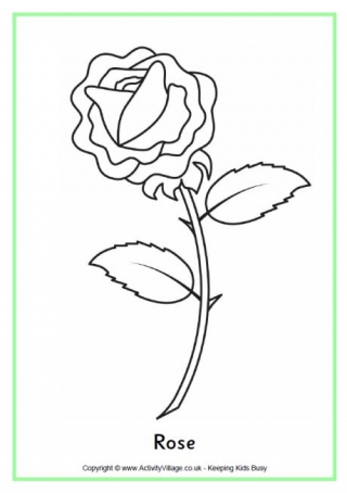 Rose louring page