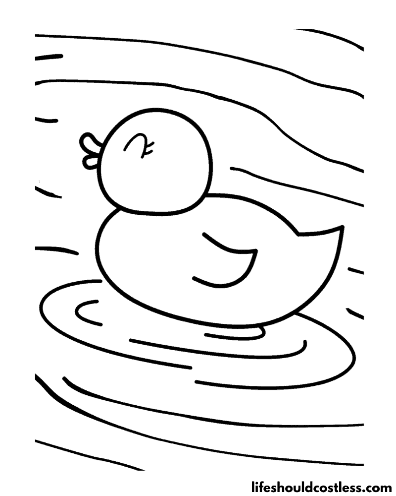 Duck coloring pages free printable pdf templates