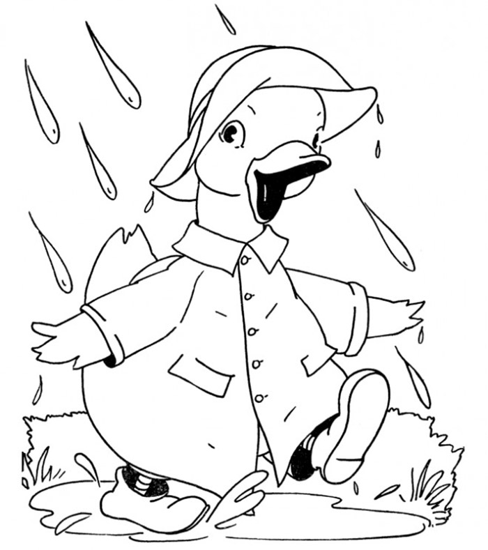 Duck coloring pages