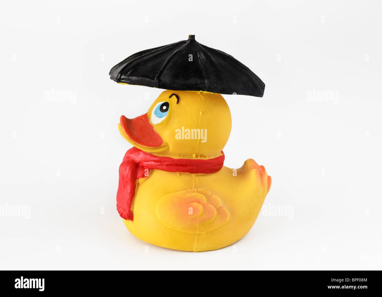Duck umbrella hi