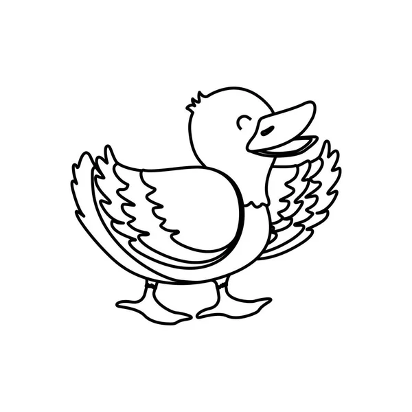 Duck coloring page vector images