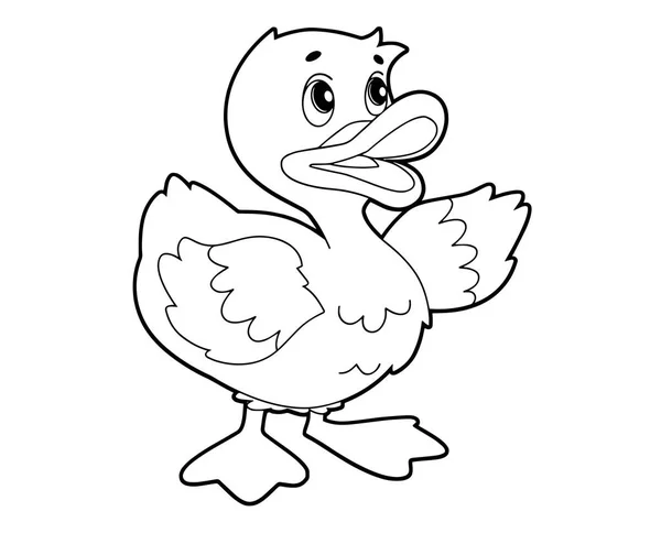 Duck coloring page vector images