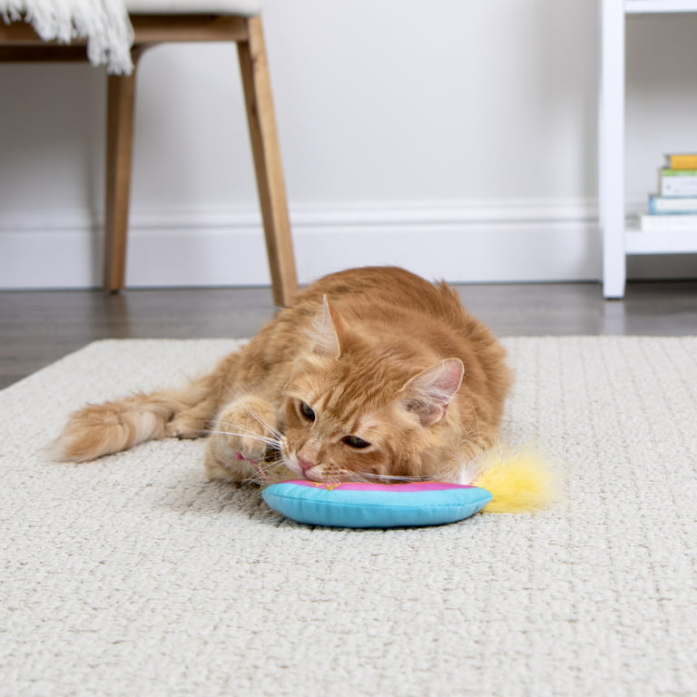 Smartykat rainbow ruckus catnip kicker cat toy with raffia feathers multi