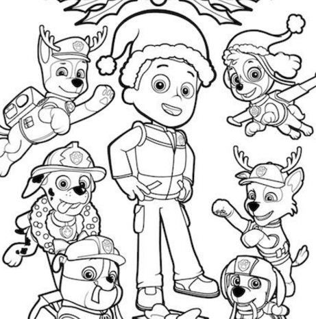Paw patrol rocky skye and zuma coloring page