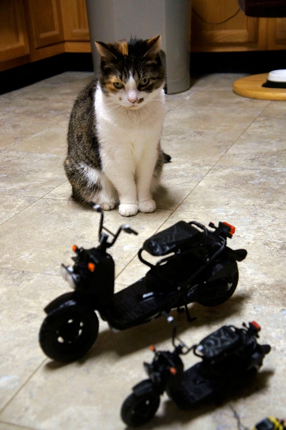 Customizable d printed scale ruckus pit bike scooter