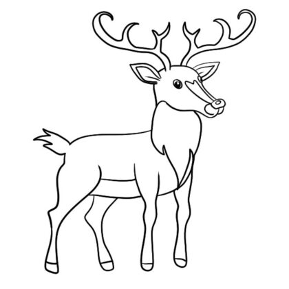 Animals archives