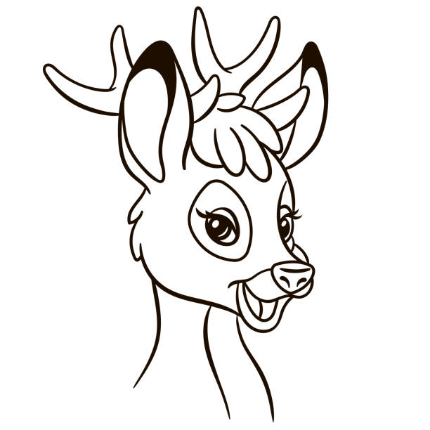 Fawn coloring pages stock illustrations royalty