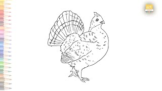 How to draw ruffed grouse step by step birds drawing