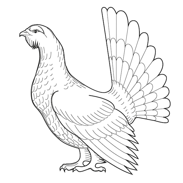 Premium vector vector illustration of contour black and white wood grouse for coloring books and pages