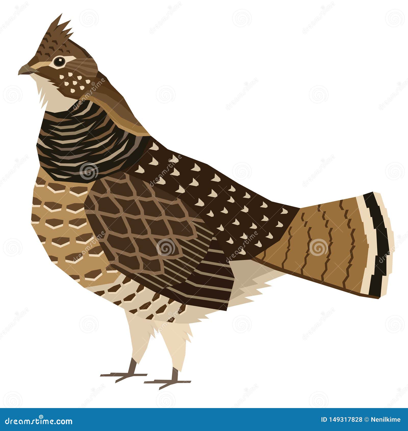 Ruffed grouse birds collection vector illustration isolated object stock vector
