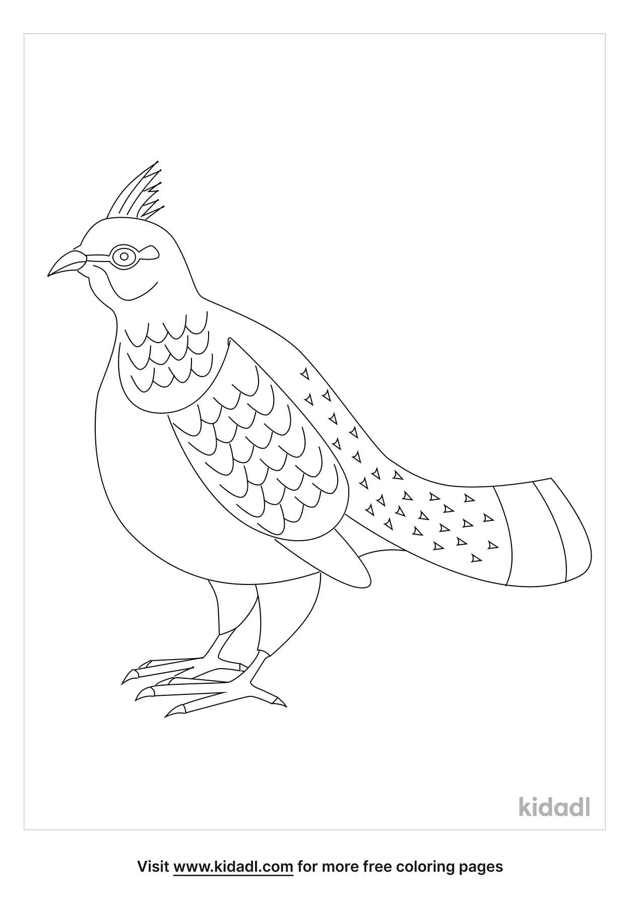 Free ruffed grouse coloring page coloring page printables