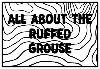 All about the ruffed grouse coloring pages state bird bulletin board quote