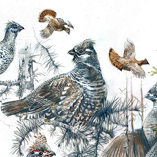 Authors print âruffed grouseâ hunting art bird dãcor