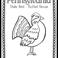 Birds â page â the art kit