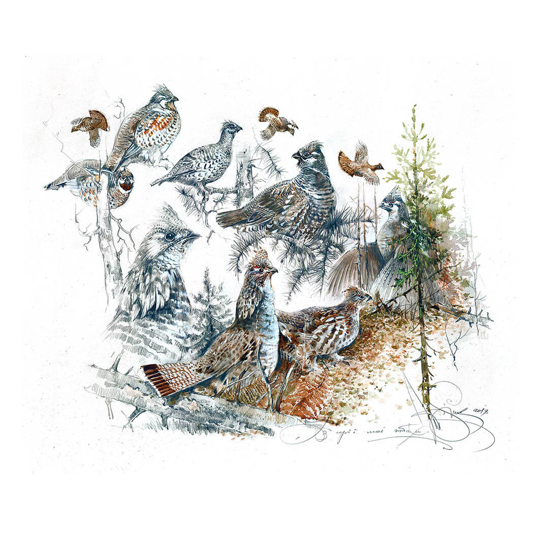 Authors print âruffed grouseâ hunting art bird dãcor