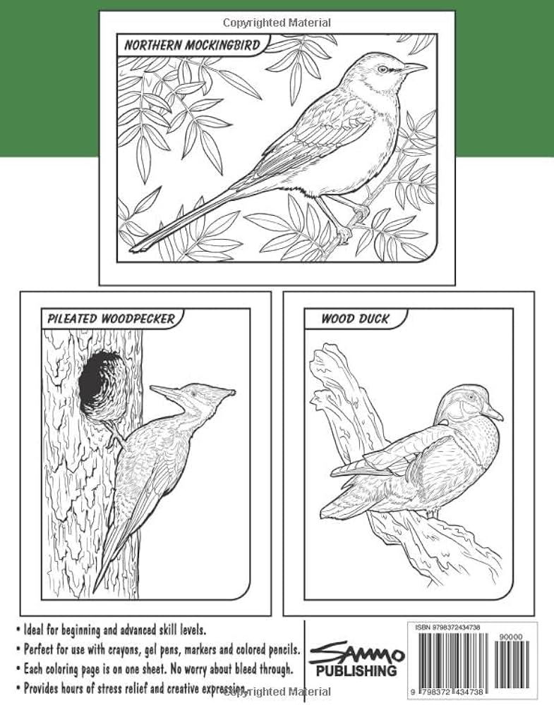 Birds of tennessee coloring book for kids teens adults a collection of mon unique birds of tennessee for bird watchers to identify and color morrison sam books