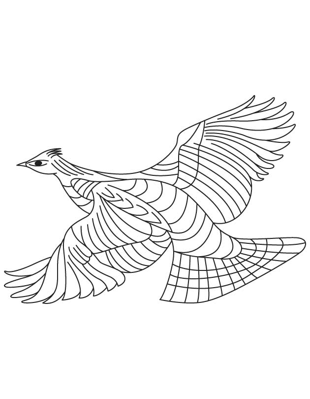 Forest living grouse coloring page download free forest living grouse coloring page for kids best coloring pages