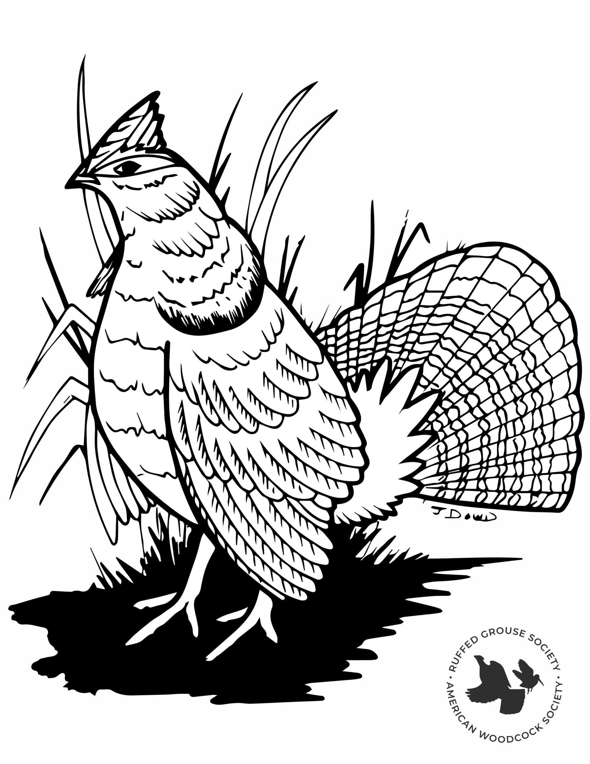 Rgs aws kids coloring contest