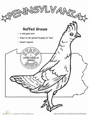 Pennsylvania state bird worksheet education state birds arts education quotes education